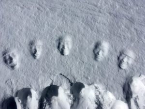 5種類の希子ちゃんパック。いい加減手伝えや