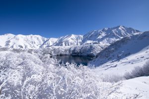 確かにユーコンがいたら280％この景色は拝めない